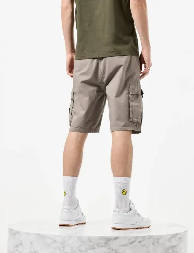 Weekend Offender Mascia Cargo Short | Bark