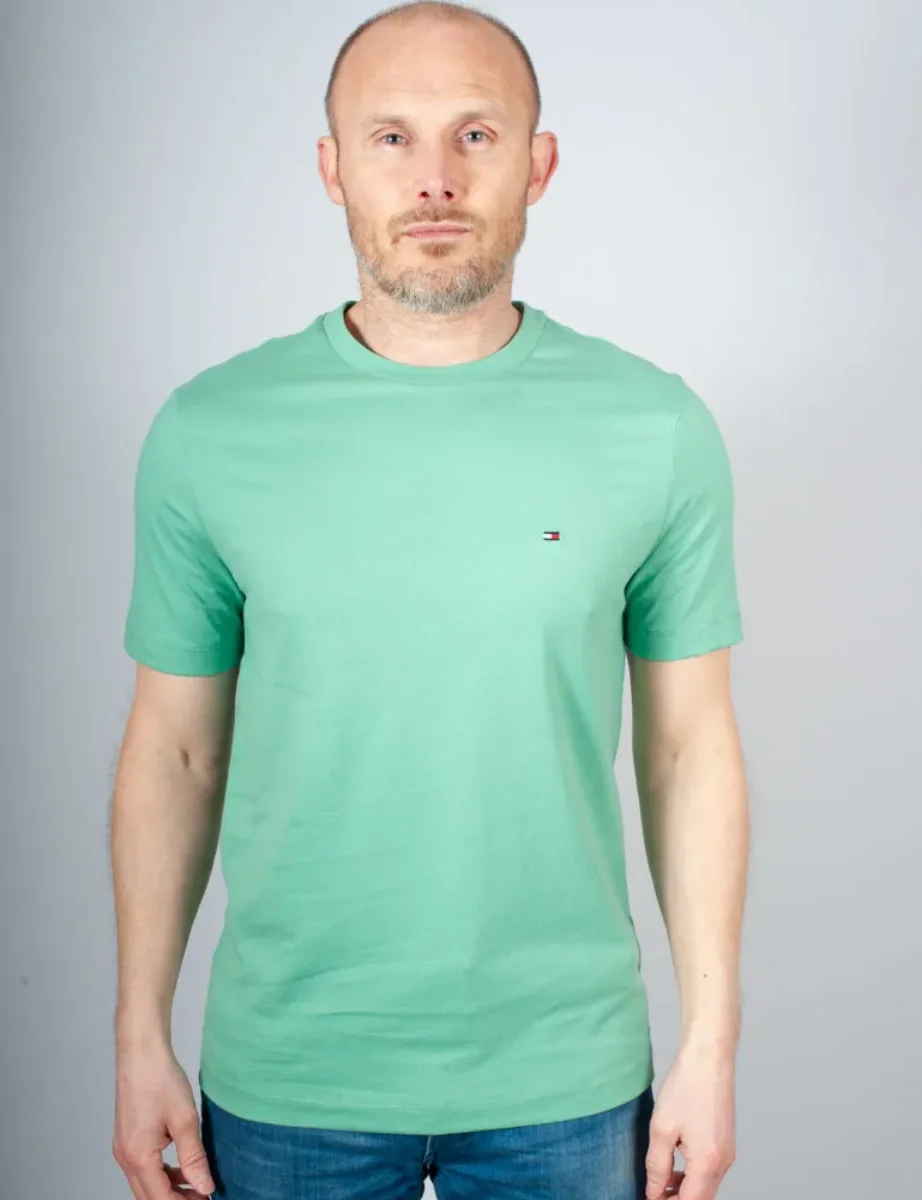 Tommy Hilfiger Essential Seasonal Regular Fit T-Shirt | Fort Green