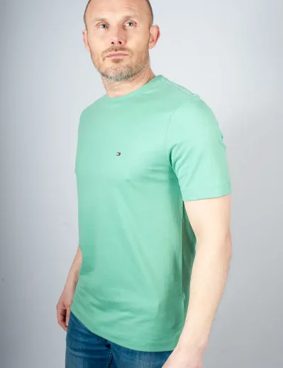 Tommy Hilfiger Essential Seasonal Regular Fit T-Shirt | Fort Green