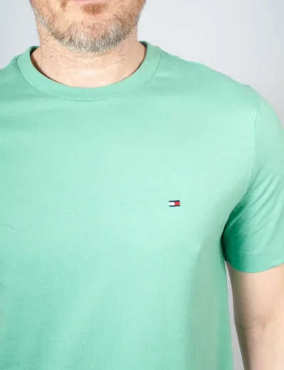 Tommy Hilfiger Essential Seasonal Regular Fit T-Shirt | Fort Green