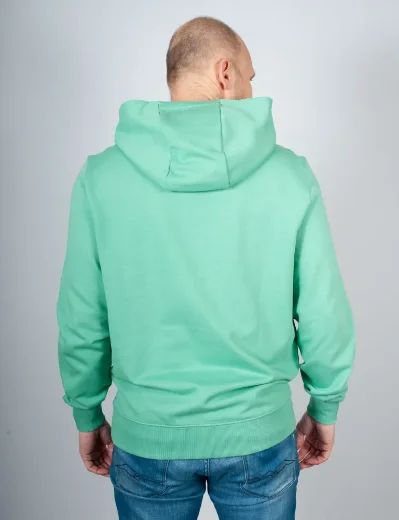 Tommy Hilfiger Essential Terry Hoody | Fort Green
