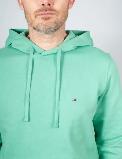 Tommy Hilfiger Essential Terry Hoody | Fort Green