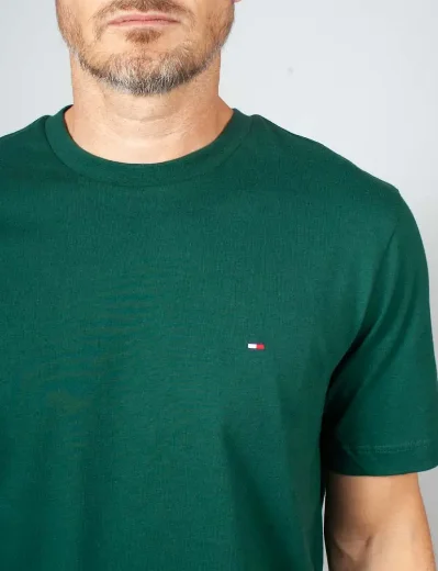 Picture of Tommy Hilfiger Essential Seasonal Regular Fit T-Shirt | Ornamental Green
