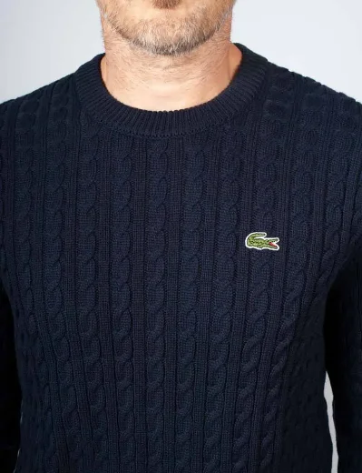 Lacoste Cotton Cable Knit Jumper | Navy