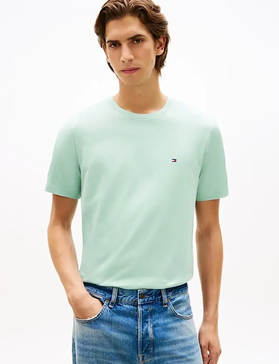 Tommy Hilfiger Seasonal Regular Fit T-Shirt | Crushed Mint